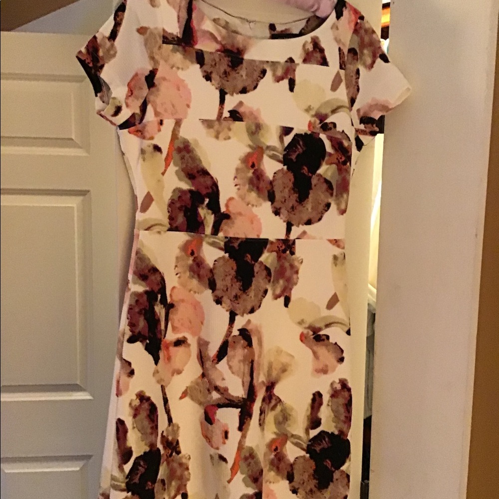 🎀👠Stunner👗🌸